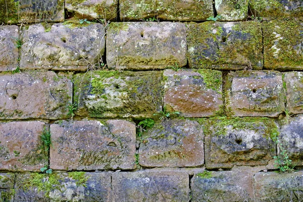 城の中世壁クローズ アップ ショット — ストック写真