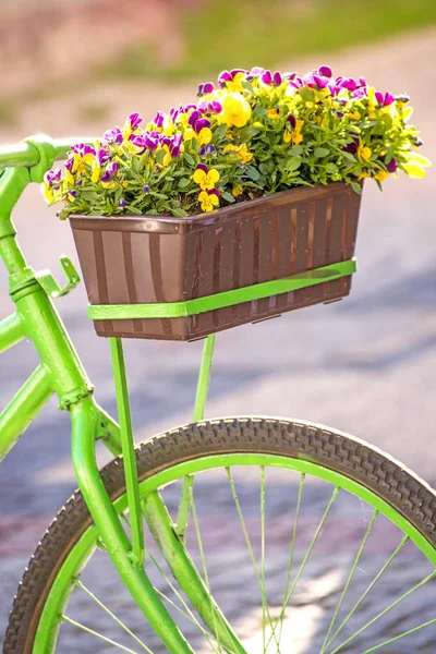 Bukiet Kolorowych Wiosennych Kwiatów — Zdjęcie stockowe