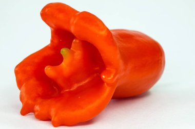 Piskopos tacı Chili biber yakın atış