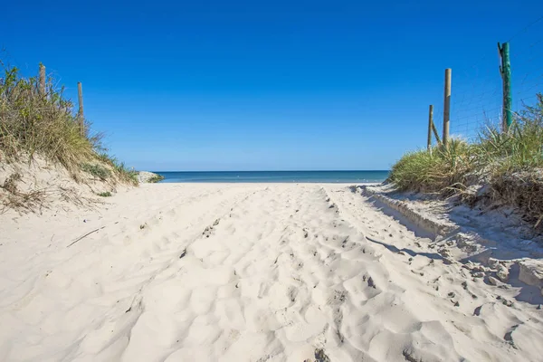 Areia Praia Mar Báltico Com Fundo Azul Céu — Fotografia de Stock