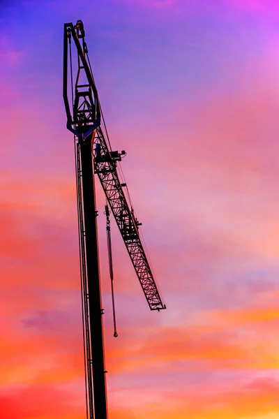 Grue Aube Avec Fond Couleur — Photo