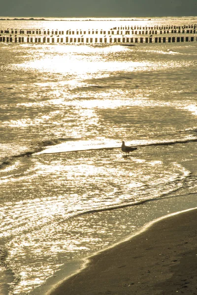 Baltic Sea Polen Strand Van Ustka Tijdens Zonsopgang — Stockfoto