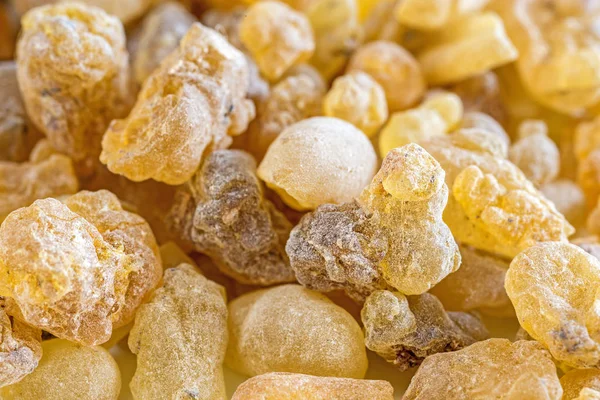 Tütsü, Olibanum, Boswellia Serrata yakın çekim yukarı