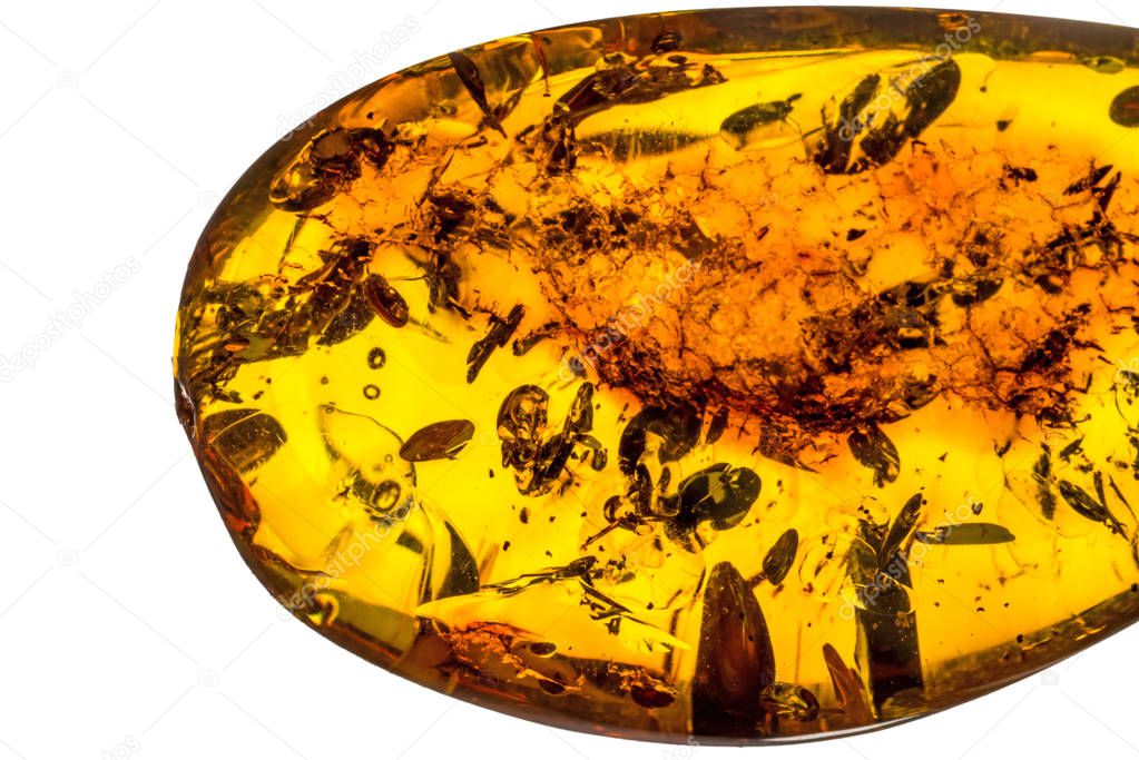 Amber With Inclusions close up shot