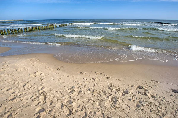 Hřebínky Krásné Baltského Moře — Stock fotografie