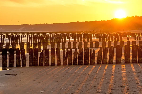 Sunrise Baltic Sea Groynes — Stock Photo, Image