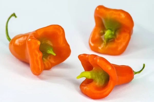 Bishops Crown Chili Peppers — Stock Photo, Image