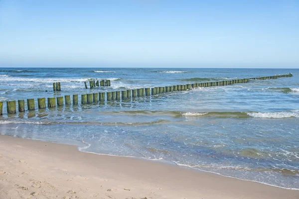 Písečná Pláž Baltské Moře Pozadí Modré Oblohy — Stock fotografie
