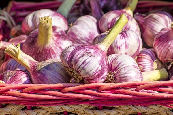 Red Garlic Street Sale France — Stock Photo, Image