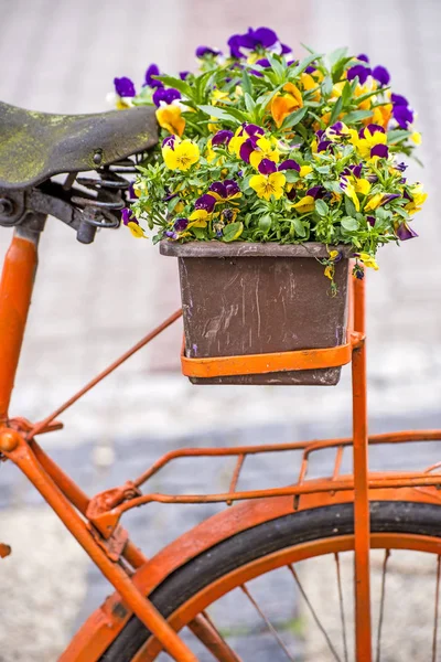 Крупним Планом Красиві Квіти Велосипедом Фоні — стокове фото