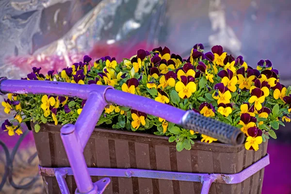 Vélo Avec Des Fleurs Gros Plan — Photo