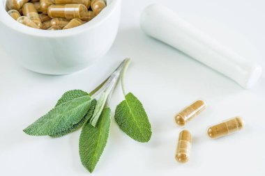 Bitkisel ilaçlarla adaçayı yaprakları