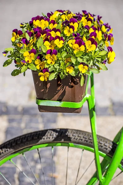 Gros Plan Belles Fleurs Fleurs Avec Vélo Sur Fond — Photo