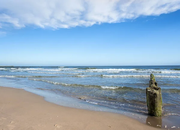古い鼠径部 ポーランド バルト海のビーチ — ストック写真