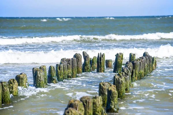 Inguine Nel Bellissimo Mar Baltico — Foto Stock