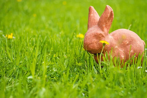 Easter Bunny Green Meadow Dandelion Flower — Stock Photo, Image