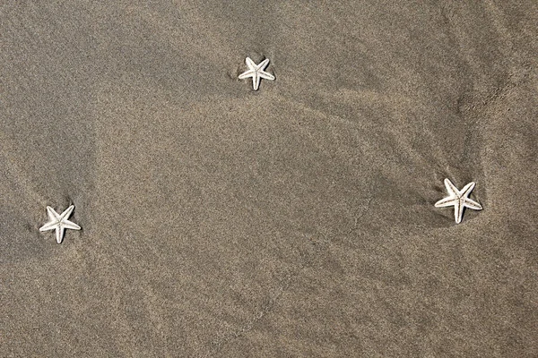 Αστερίες στην παραλία — Φωτογραφία Αρχείου