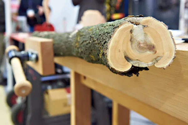 Workbench з затискачем і стовбуром дерева — стокове фото