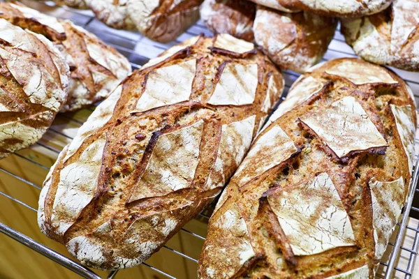 Färskt bröd med skorpa — Stockfoto