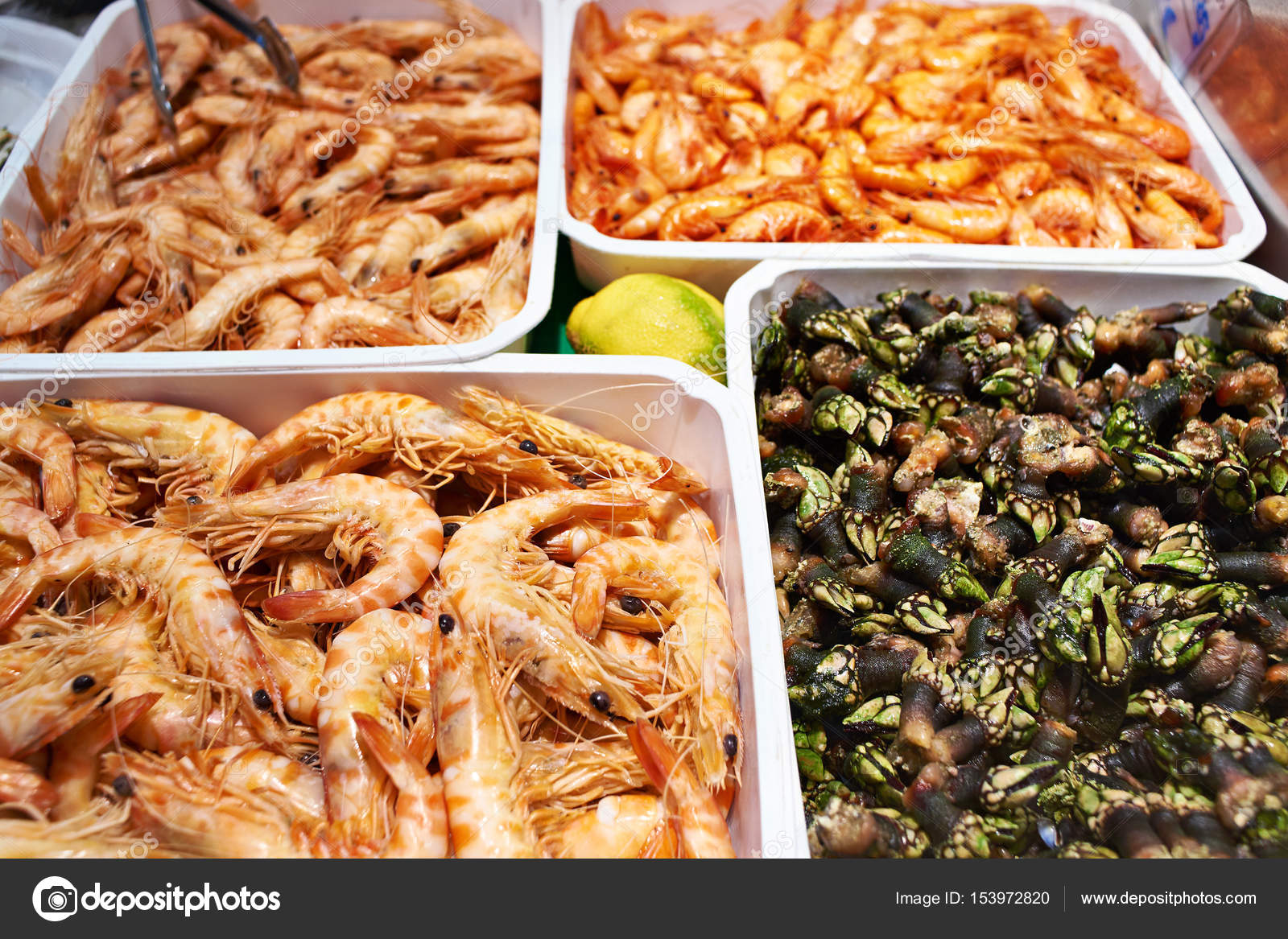 Shrimp And Percebes On Store Stock Photo C Ryzhov 153972820