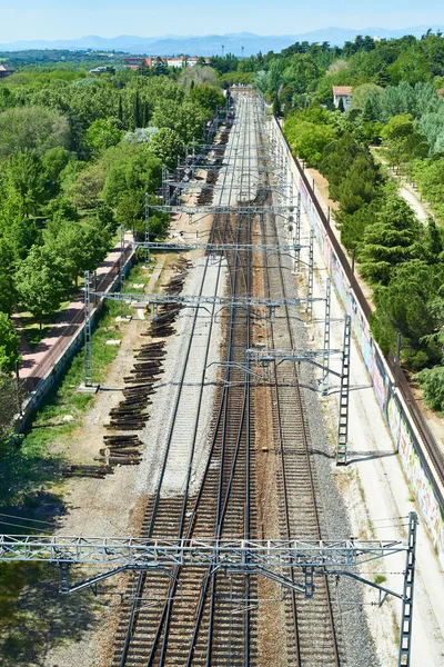 Ferrovia no campo através da floresta — Fotografia de Stock