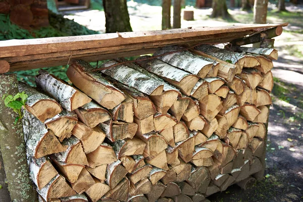 Haufen Birkenbrennholz — Stockfoto