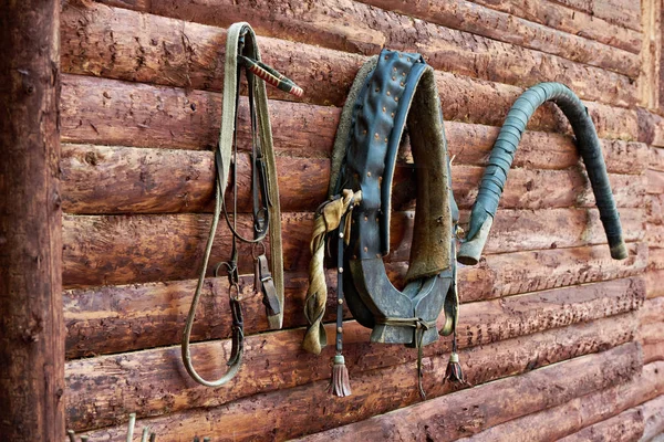 Reins for horse, harness, collar in village house — Stock Photo, Image