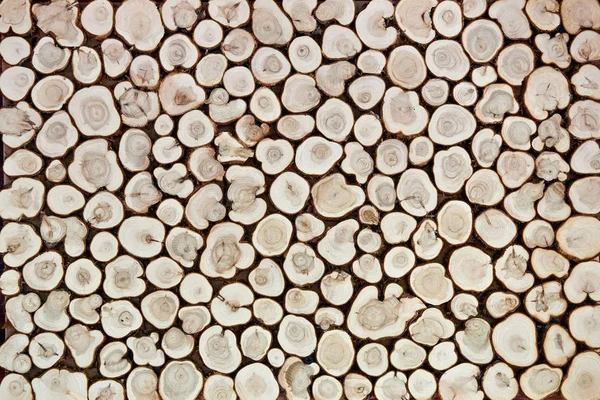 Background of wooden slices — Stock Photo, Image