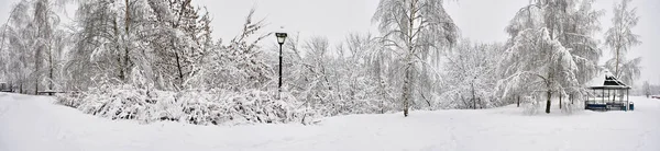 Panorama du paysage hivernal dans le parc — Photo