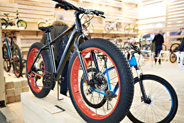 Bicicleta com pneus gordos na loja de esportes — Fotografia de Stock