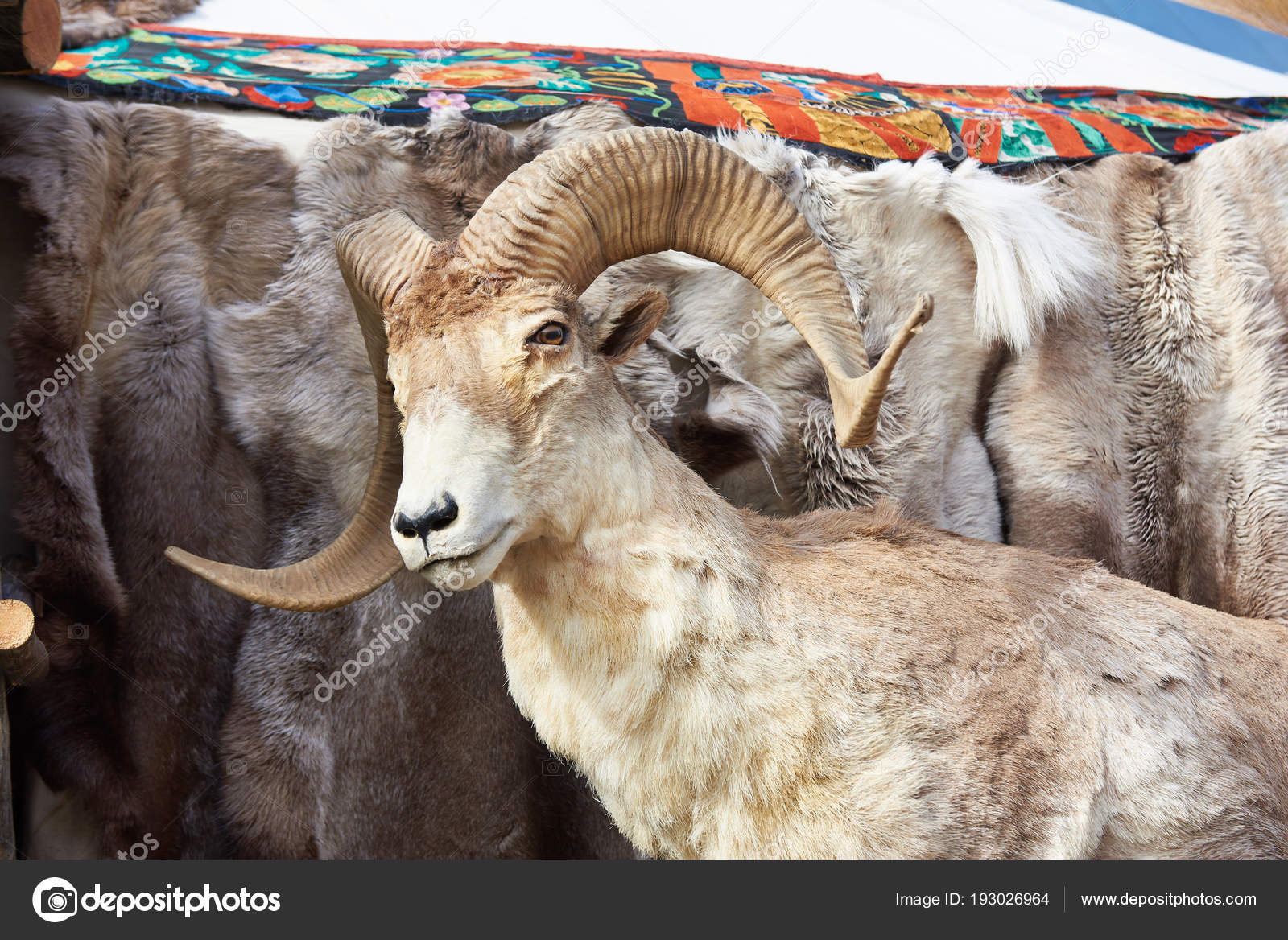 stuffed mountain goat