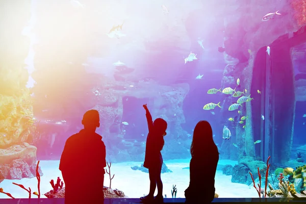 Famiglia con bambino in oceanario — Foto Stock