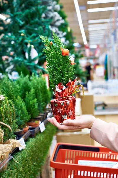 Árbol de Navidad en tienda — Foto de Stock