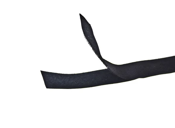 Beyaz arkaplanda cırt cırt dikiliyor