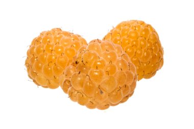 Ahududu beyaz arkaplanda izole edildi