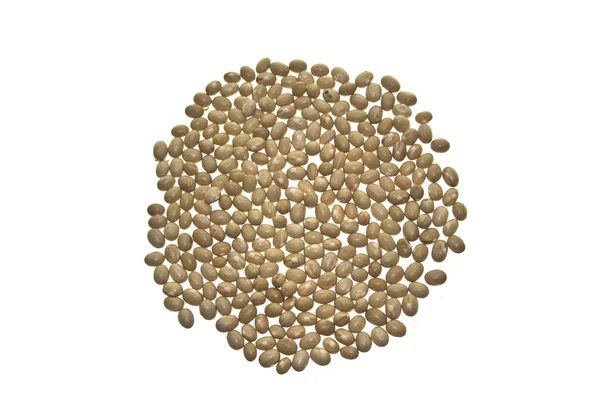 Beans isolated on white background — Stock Photo, Image