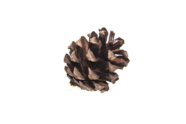 cone isolated on white background