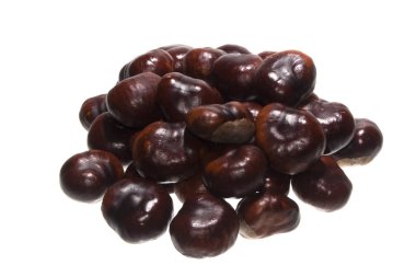 kestane rengi beyaz arkaplanda izole