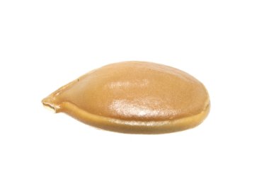 Beyaz arkaplanda izole edilmiş tohumlar