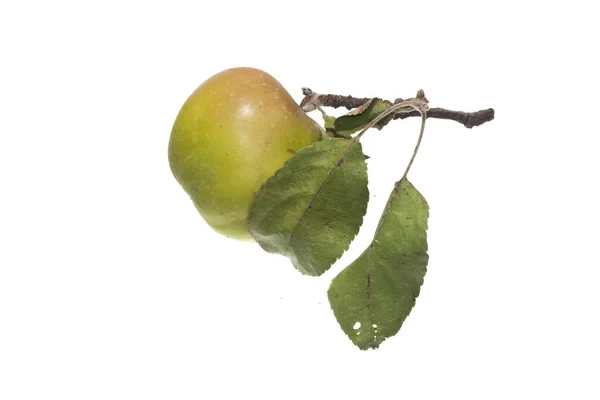 Jabłko izolowane na białym tle — Zdjęcie stockowe