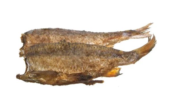 Ikan diisolasi pada latar belakang putih — Stok Foto