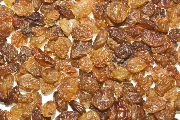 Raisins isolated on white background — Stock Photo, Image