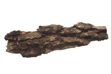 Beyaz arkaplanda ağaç kabuğu izole