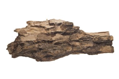 Beyaz arkaplanda ağaç kabuğu izole