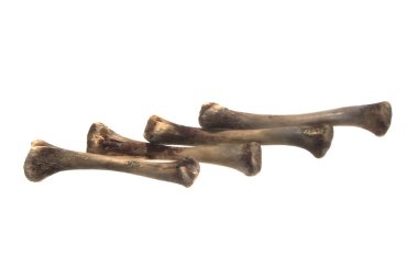 Kemikler beyaz arkaplanda izole