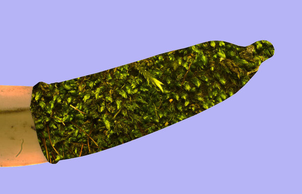 banana isolated on a blue background