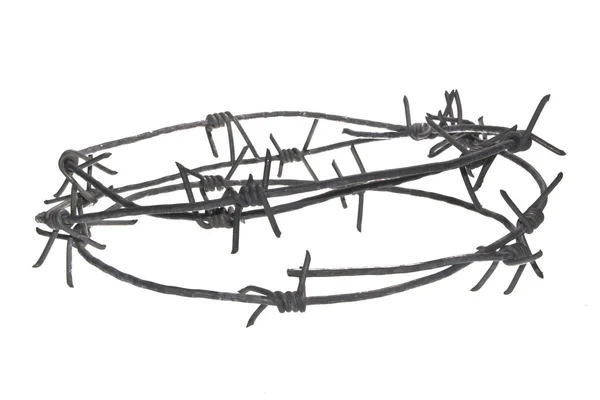 Колючая проволока на белом фоне — стоковое фото