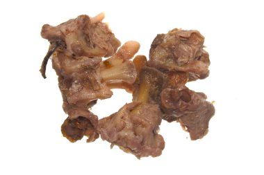 Kemikler beyaz arkaplanda izole