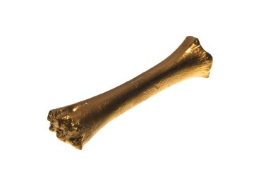 Kemikler beyaz arkaplanda izole