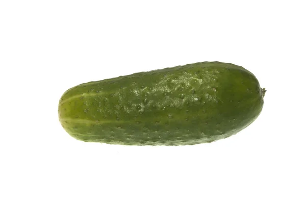 Cucumber isolated on white background — Stock Photo, Image